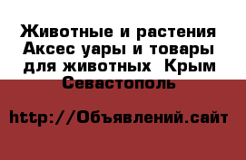 Животные и растения Аксесcуары и товары для животных. Крым,Севастополь